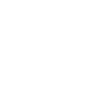 Chromebook logo.